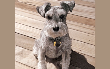 Maddie on her deck